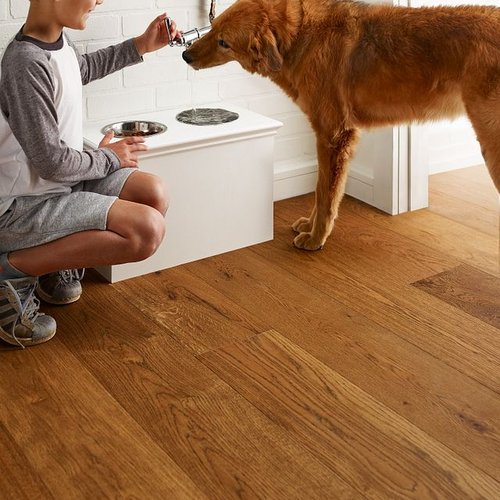 A kid with a dog - Keep you home healthy with POWAY CARPETS in Poway, CA